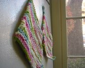 Peppermint Dishcloths (set of 2)