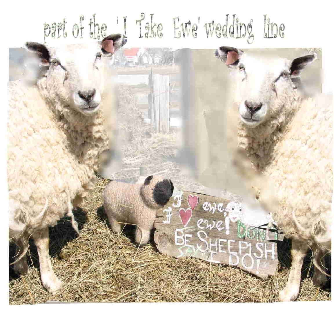 Spring Wedding , Custom signs, 'I Take Ewe' line, series: My Rustic Event,  shipping is incl. in listed price.