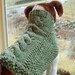 Dog Sweater Hand Knit Cable and Seed Stitch Medium