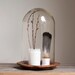 beautiful glass cloche bell jar with carved wooden base