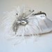 PEACOCK FANTASY. ostrich feather & crystal peacock jewel clutch