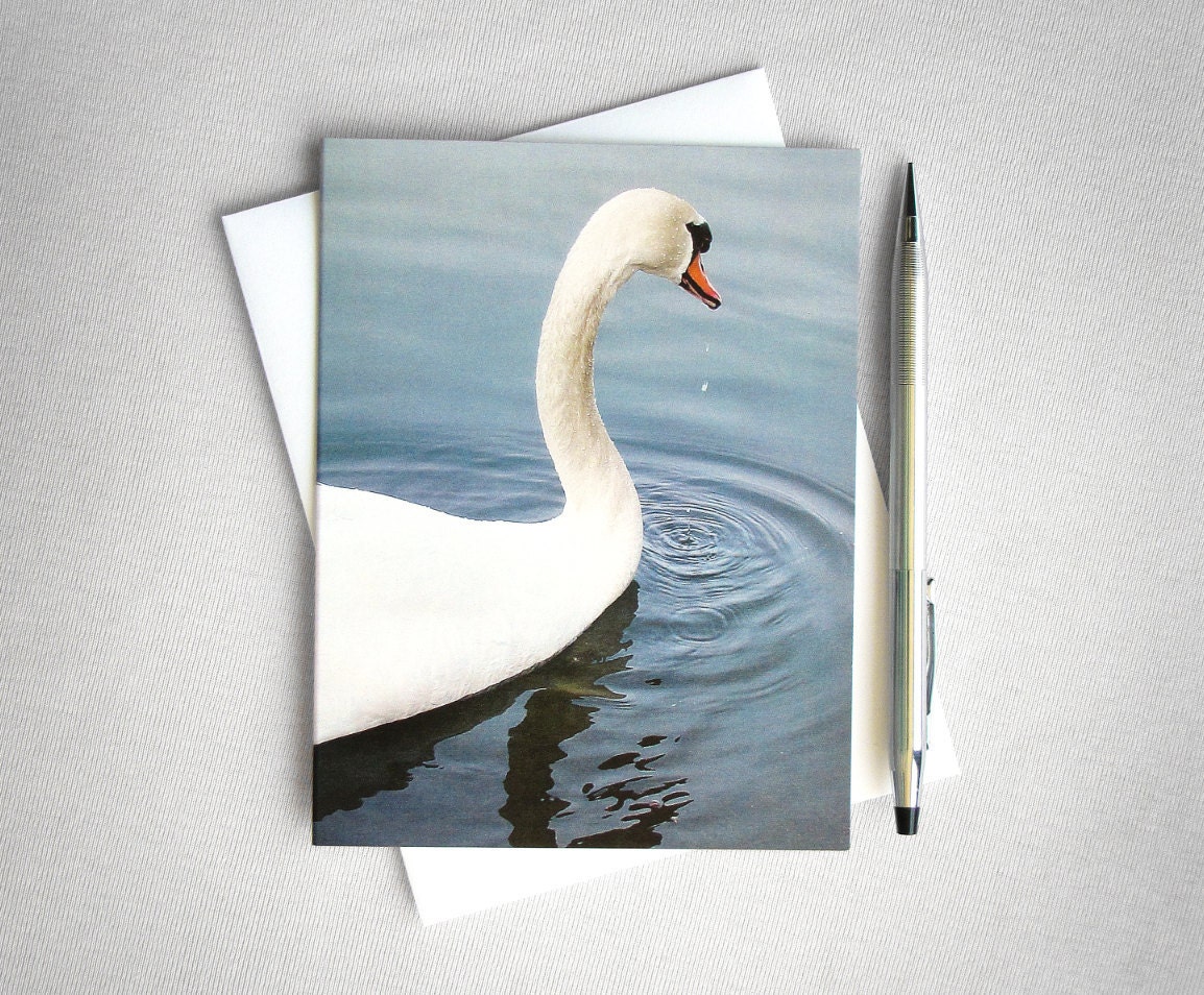 White Swan on Lake blank notecard (Peace)
