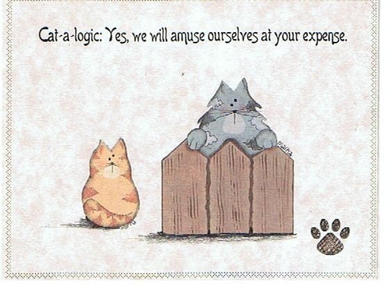 Everyday Humorous Greeting Card-Blank Inside-Hissy Fit Card-1-Yes, we will amuse ourselves...
