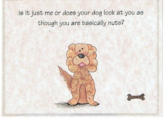 Everyday Humorous Greeting Card-Blank Inside-Hissy Fit Card-2-Basically Nuts