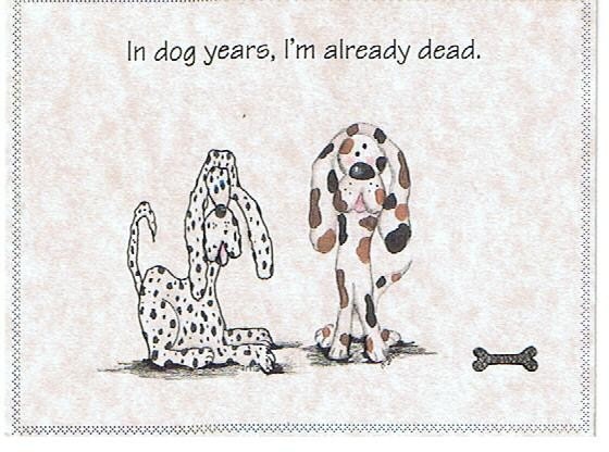 Everyday Humorous Greeting Card-Blank Inside-Hissy Fit Card-9-In dog years