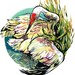 Siberian Crane