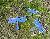 Mirror Dragonflies for Wall - Set of 3 Dragonfly Silhouettes