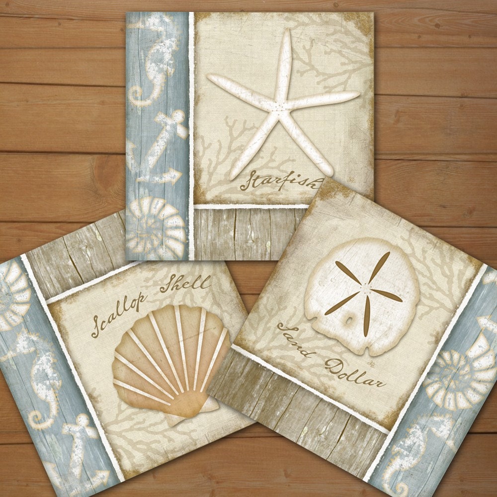 Coastal Seashells - 6x6 Art Print Set