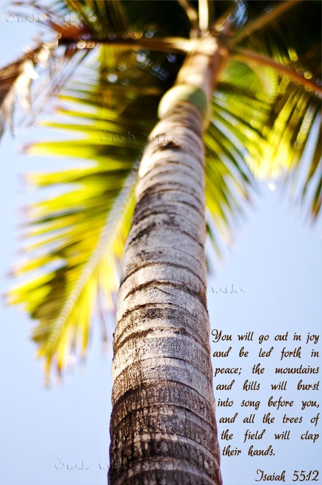 PalmTreeBliss