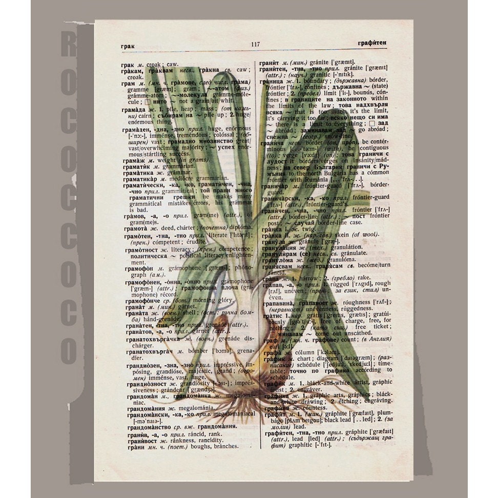 Antique French VEGETABLES/ ONION Artwork on a page from vintage Dictionary -Upcycled Book Print
