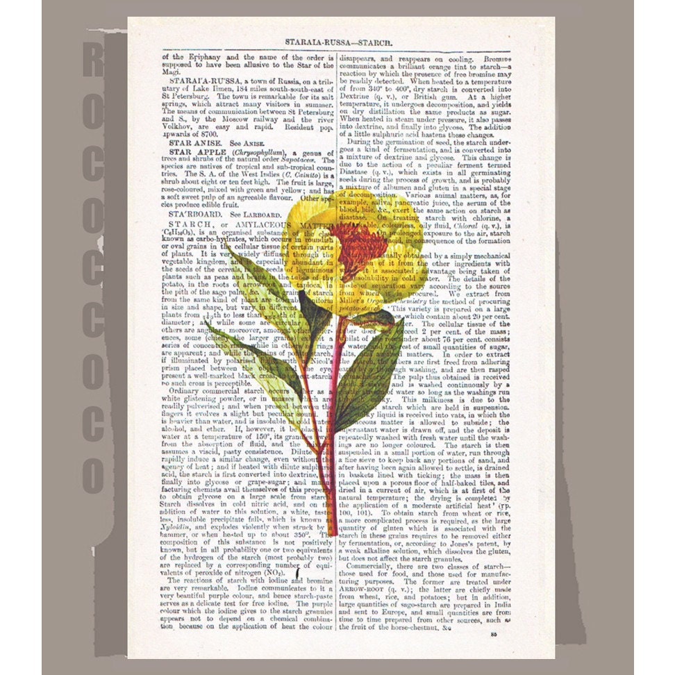 Yellow PEONY Artwork on a page from vintage Dictionary -Upcycled Book Print