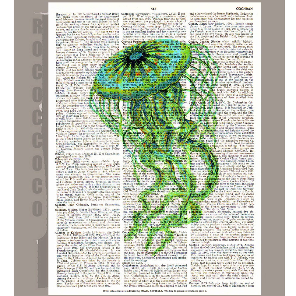 JELLYFISH  -ARTWORK  printed on Repurposed Vintage Dictionary page 8 x 10 -Upcycled Book Print