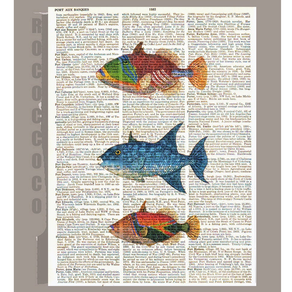 Exotic  FISHES   -ARTWORK  printed on Repurposed Vintage Dictionary page 8 x11 -Upcycled Book Print