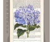 Beautiful HYDRANGEA Artwork on a page from vintage Dictionary -Upcycled Book Print
