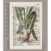 Antique French VEGETABLES/ ONION Artwork on a page from vintage Dictionary -Upcycled Book Print