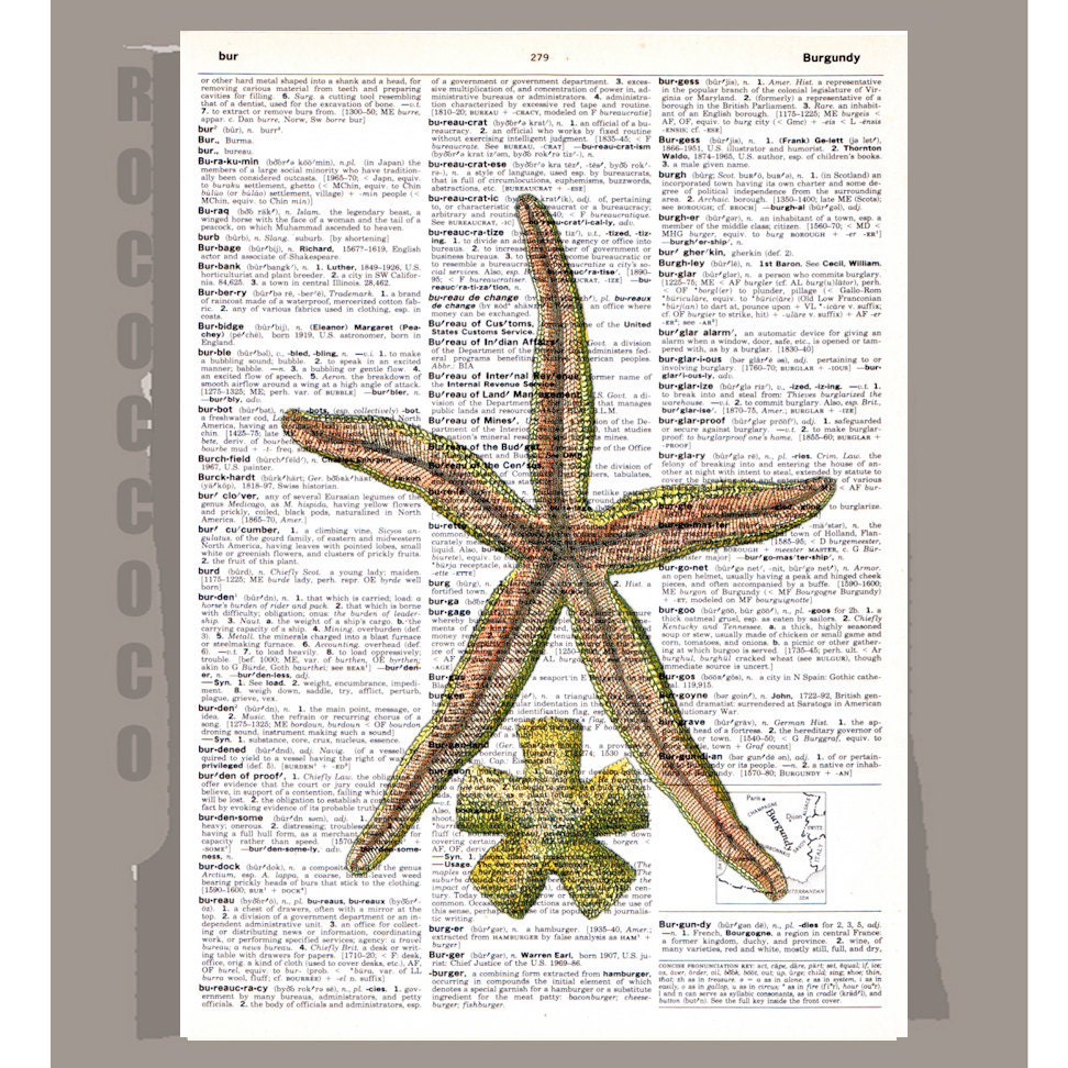 STARFISH  -ARTWORK  printed on Repurposed Vintage Dictionary page 8 x11 -Upcycled Book Print