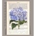 Beautiful HYDRANGEA Artwork on a page from vintage Dictionary -Upcycled Book Print