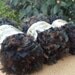 Brown and Black Patons Twister Yarn 3 skeins