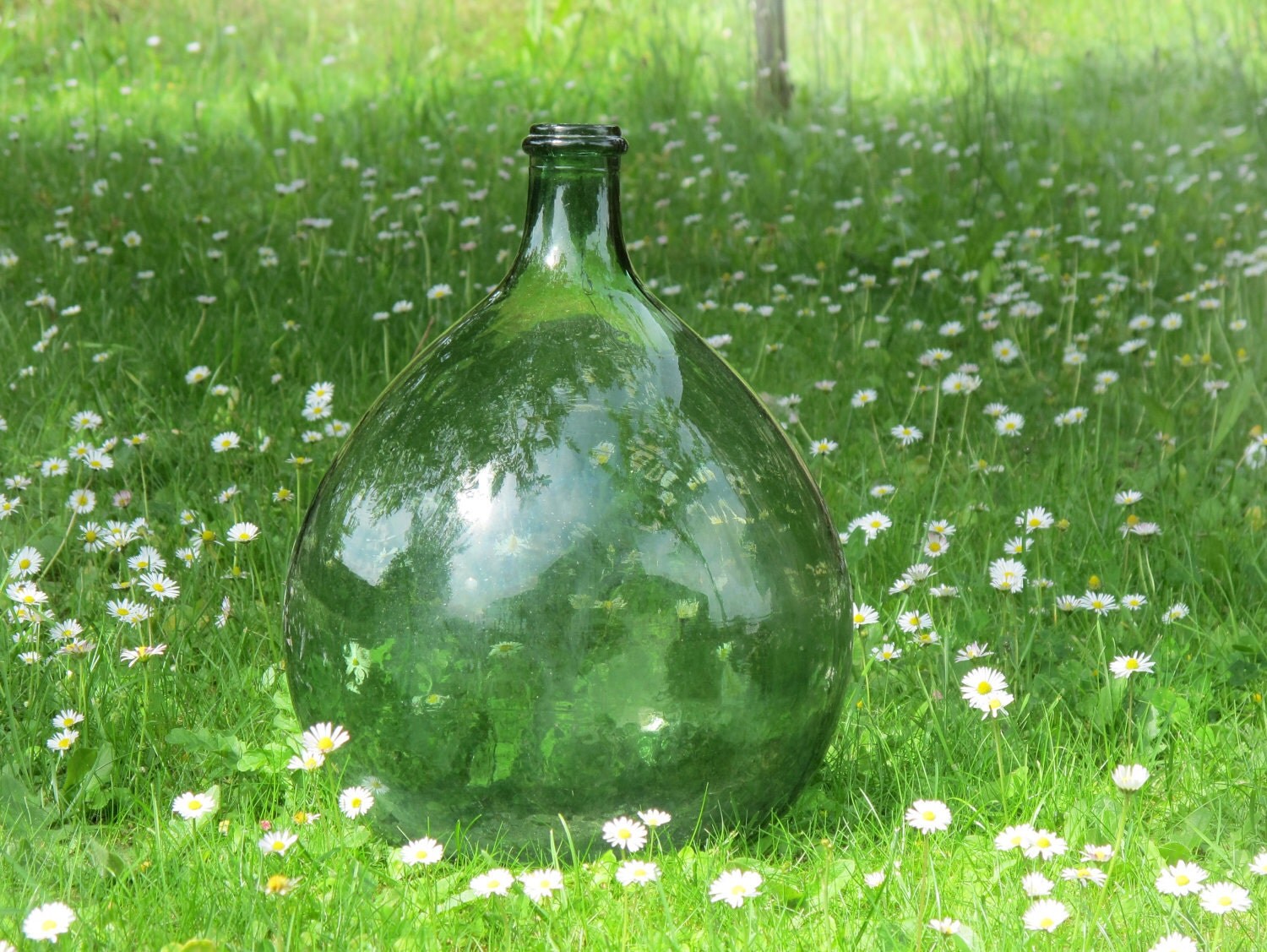 Demijohn Bottle