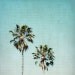 California Photography - teal, aqua decor, palm trees, LA style decor, home decor - "Two For the Sun" - 8x8 Fine Art Photograph