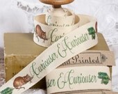 Alice in Wonderland Cotton Fabric Ribbon - Hand Printed 2m x 25mm /80"x 1" cotton tape. cushion trimming. lampshade trimming. gift wrap.