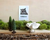 Owl Call - Screech - Illustrated Wildlife Animal Sticker