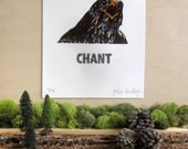 Falcon Print - Chant - Silkscreen - Limited Edition - Animal Calls Series - Chant