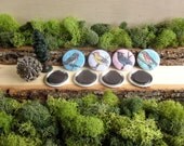 Four Painted Birds - Set of Magnets - 1.5"