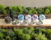 Four Painted Birds - Set of Pinback Button Badges - 1.5"