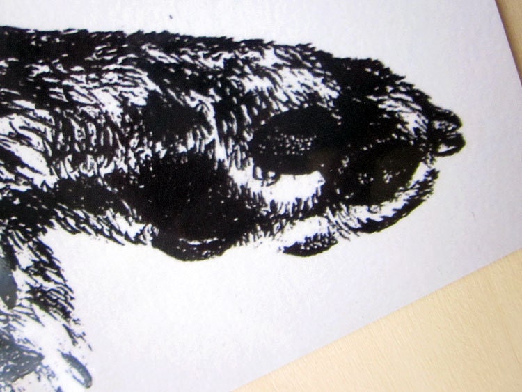 Illustrated Dog Paw Postcard - Pair of Paws