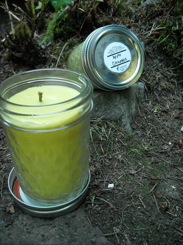 apple cinnamon soy and palm wax 8 oz jar candle