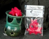 cinnamon bear candle melts