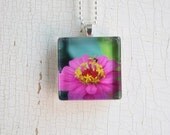 Glass Photo Pendant Necklace Pink Zinnia Flower
