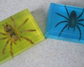Critter Soap - You Pick Critter and Color & Scent- Vegan dinosaur spider frog animal bath