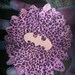 Purple Cheetah print Bat Hair flower