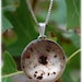 Custom Preserved Placenta Pendant Keepsake - Freestyle Powder