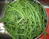 Dilled Green Beans 16 oz Gourmet Dilly Beans Pickled Beans