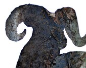 Bighorn Sheep Bark Silhouette : Woodland Animal Photography Print - Eco Decor, Cabin Lodge Wildlife Art, Rustic Home