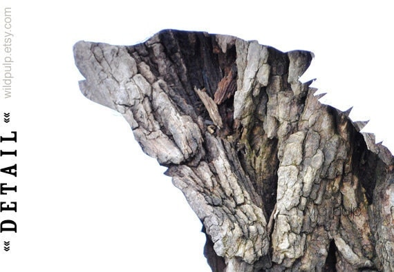 Wolf Silhouette In Bark, Wall Art Decor : Woodland Animal, Nature Photography - Rustic Lodge & Home, Natural Boys Room, Nursery