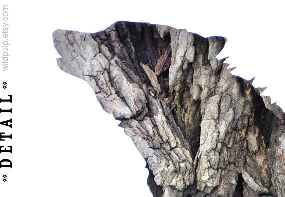 Wolf Silhouette In Bark : Woodland Animal - Eco Home Nature Decor Photography - Rustic Cabin, Lodge Art