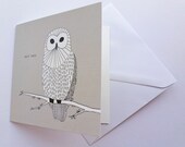 Owl Card