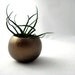 Mini Bulbosa Air Plant Container Pod - Copper // Planter // Home and Garden // Office Plant