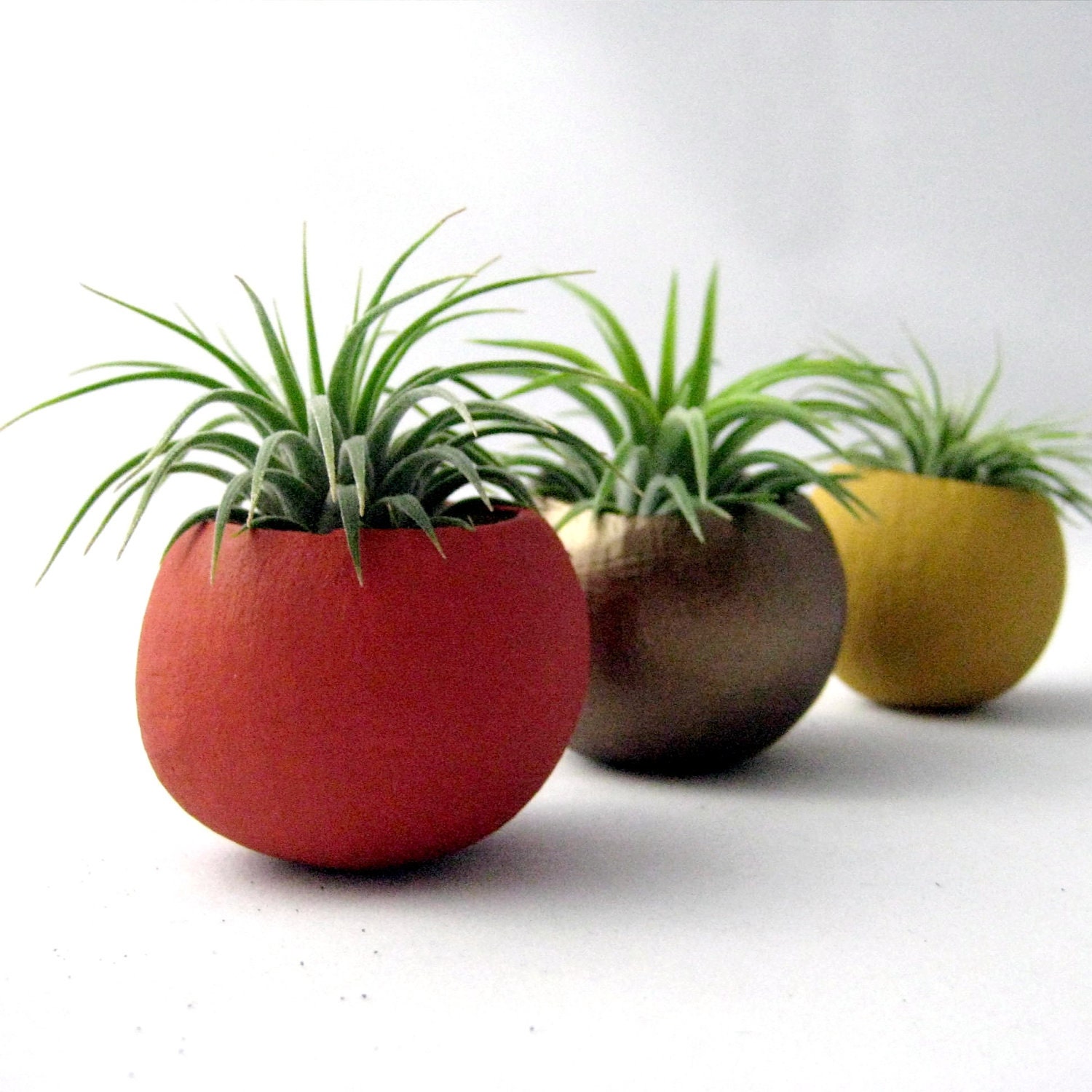 Mini Air Plant Container Pods  - Autumn Colors // Planter // Home and Garden // Gifts under 35