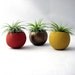 Mini Air Plant Container Pods  - Autumn Colors // Planter // Home and Garden // Gifts under 35