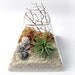 Peach Pyrite Pyramid Terrarium // Air Plant Terrarium