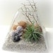 Peach Pyrite Pyramid Terrarium // Air Plant Terrarium