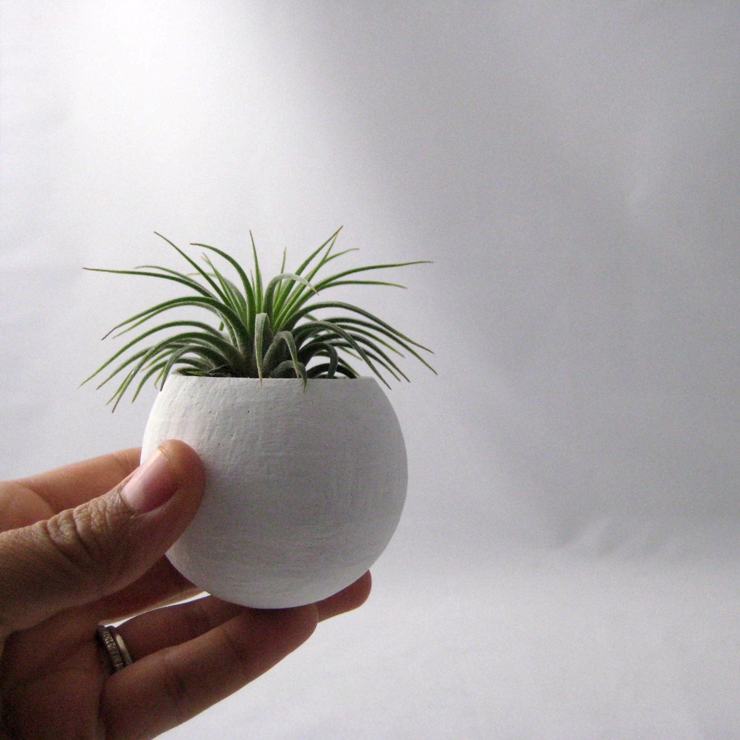Mini Air Plant Container Pod - Metallic Green Plant Vessel // Planter // Home and Garden