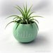 Mini Air Plant Container Pod - Hello Chalkboard // Mint // Planter // Living Home Decor // Gifts Under 20