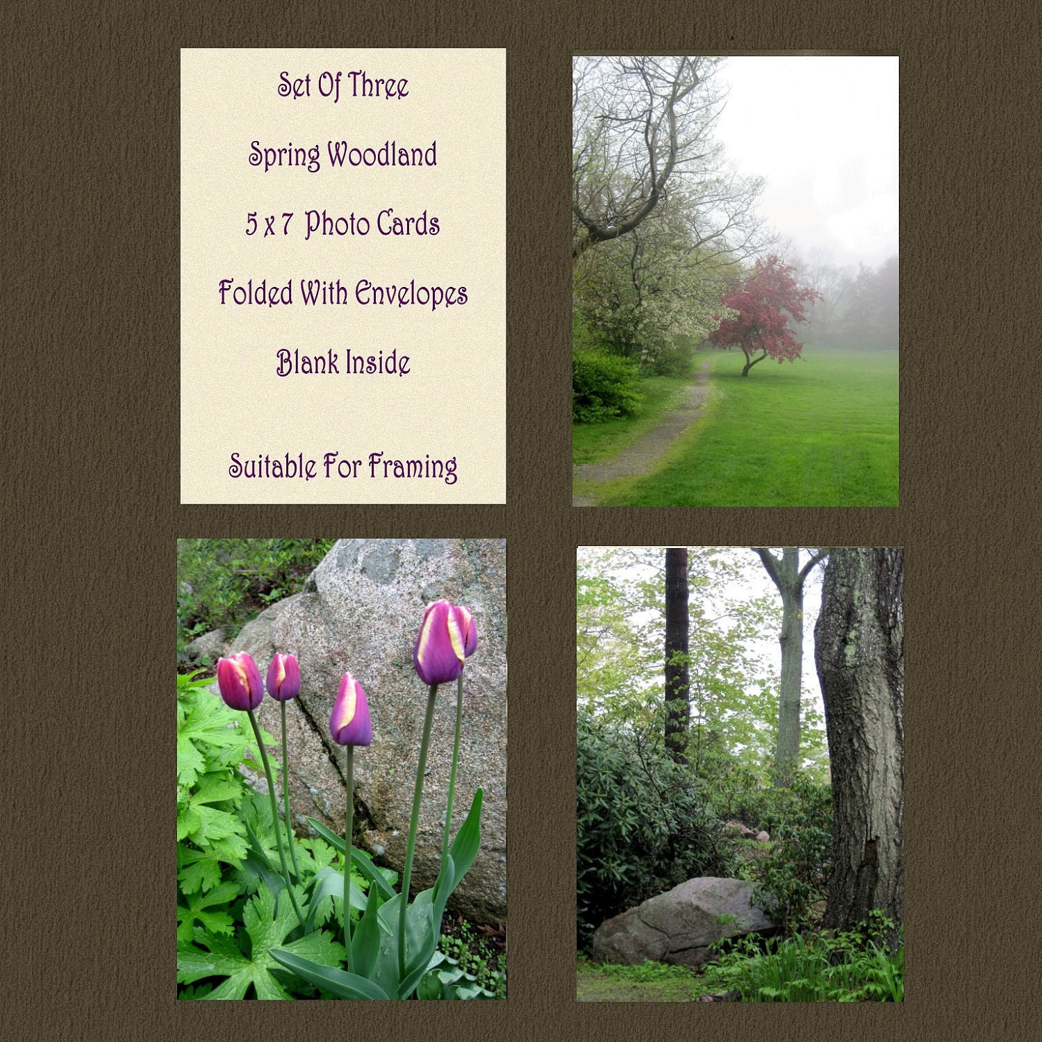 SPRING CARDS WOODLAND Photo Cards, Set of Three 5 x 7 Spring Woodland Photos, Folded Cards, Blank Inside, With Envelopes