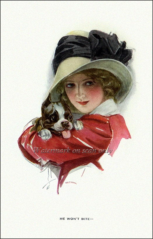 Boston Terrier Print - Repro Harrison Fisher Girl w Puppy Dog 8 x 10